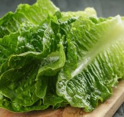 Ecoland Zelena Salata